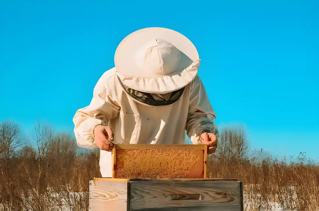 عسل خام مستقیم از کندو | اکسیراژل